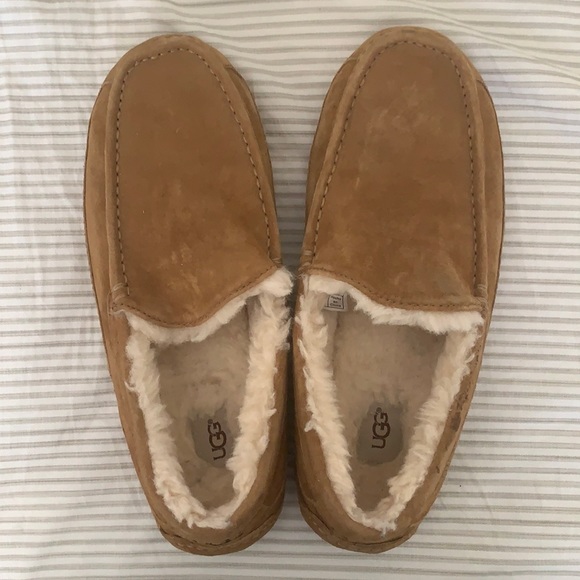 UGG Men’s Ascot Slipper in Chestnut - Picture 1 of 6